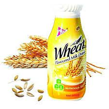 WHEAT MILK DRINK 500ML