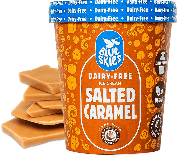 BLUE SKIES SALTED CARAMEL ICE CREAM 450ML