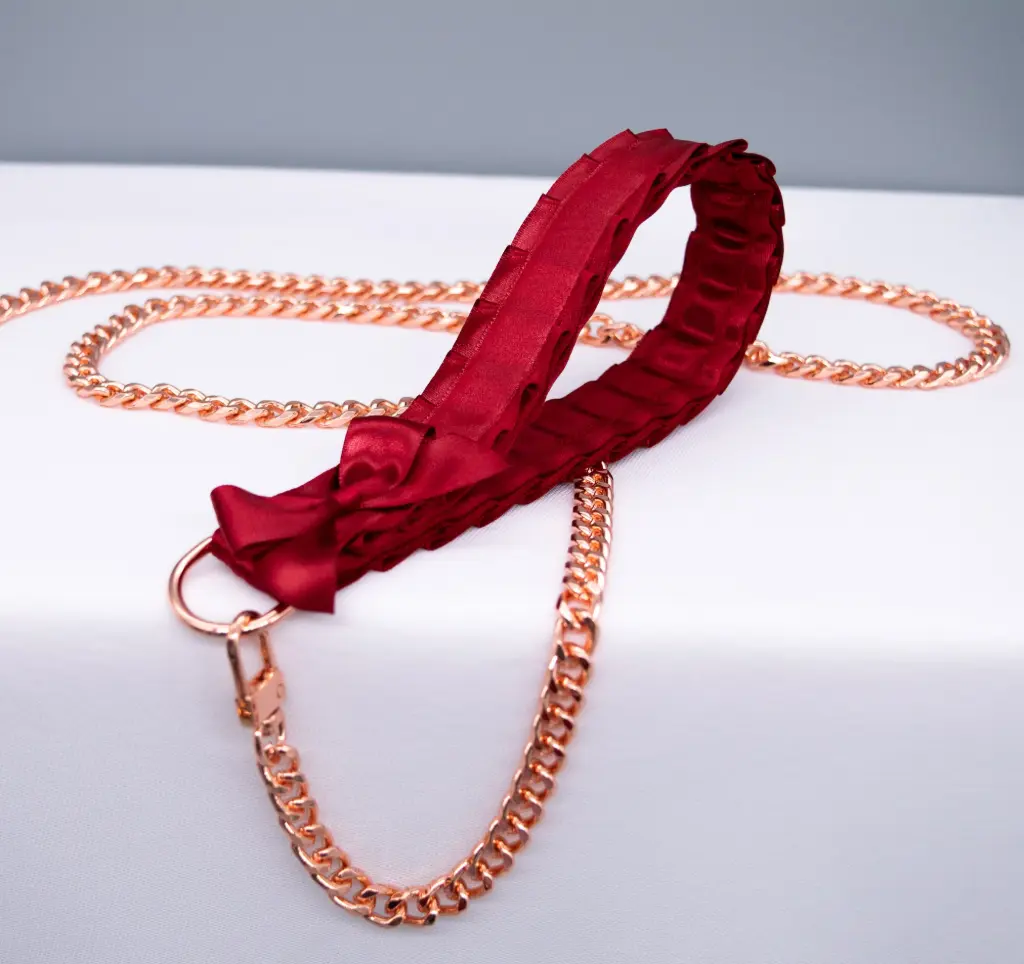 MEDIUM GOLD DOG CHAIN WITH RED ROPE  