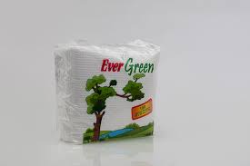 EVERPACK EVERGREEN SERVIET NAPKIN