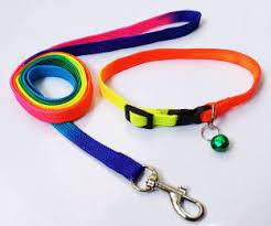 RAINBOW LEASH SMALL