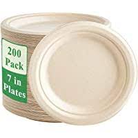 SHINE PLASTIC PLATES 7'' S/S COLORS