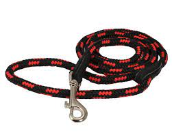 BLACK & RED LEASH