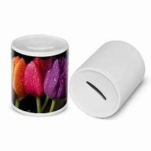 MONEY BOX M/S