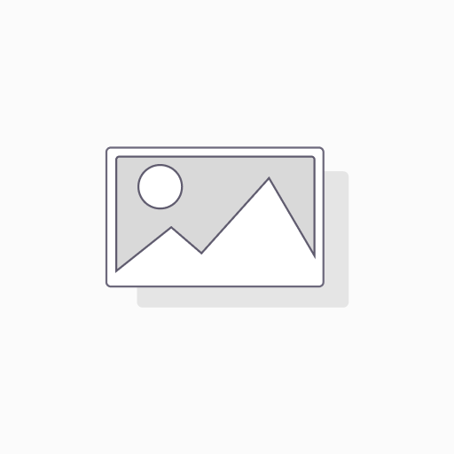 SIBLOU CRISPY FISH NUGGETS