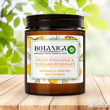 AIRWICK CANDLE AIRFRESHNER-FRESH PINEAPPLE